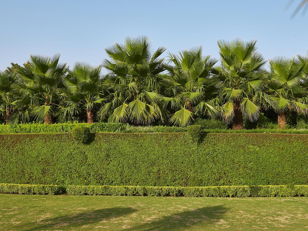 Club Mahindra Kandāghāt מראה חיצוני תמונה